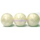 Capiz Shell White Round 25mm